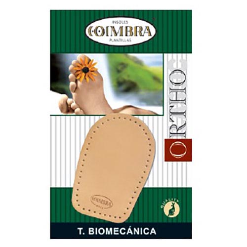 ALZATACCHI COIMBRA BIOMECANICA